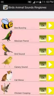Play Birds Animal Sounds RingTones