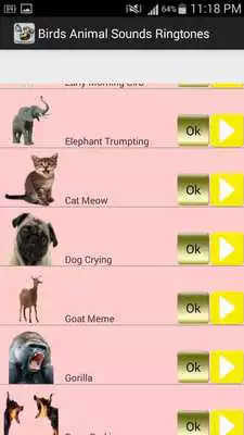 Play Birds Animal Sounds RingTones