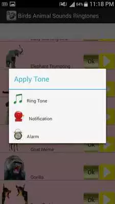 Play Birds Animal Sounds RingTones