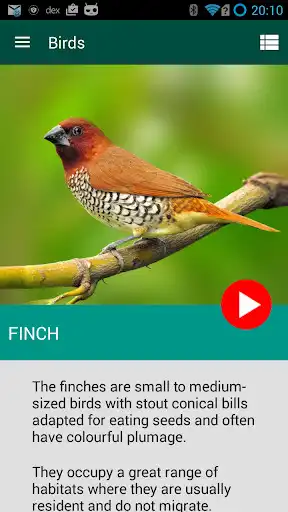 Play Birds Atlas  and enjoy Birds Atlas with UptoPlay