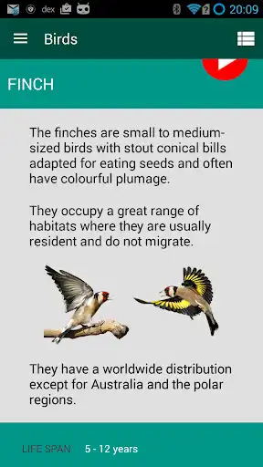 Play Birds Atlas as an online game Birds Atlas with UptoPlay