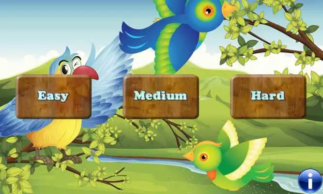 Play Birds Best Games for Toddler