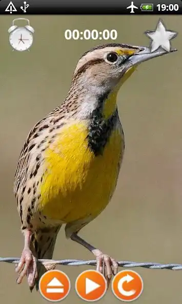 Play Birds Calls Sounds  and enjoy Birds Calls Sounds with UptoPlay