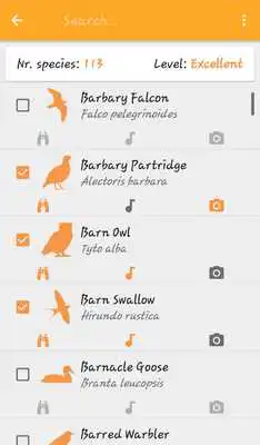 Play Birds Check Play Birds Check