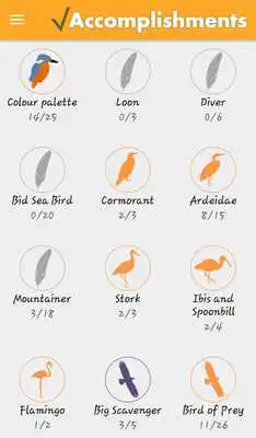 Play Birds Check Play Birds Check