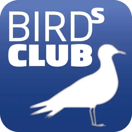 Play Birds Club APK Play Birds Club APK