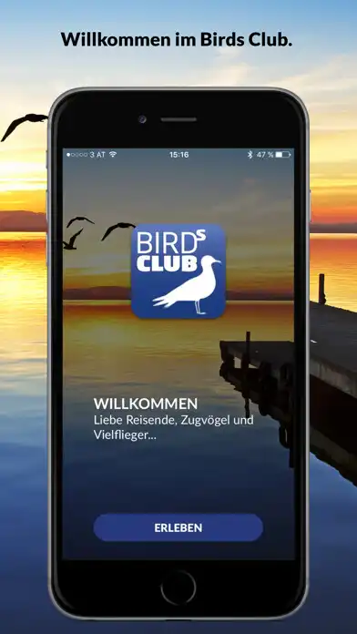 Play Birds Club  and enjoy Birds Club with UptoPlay