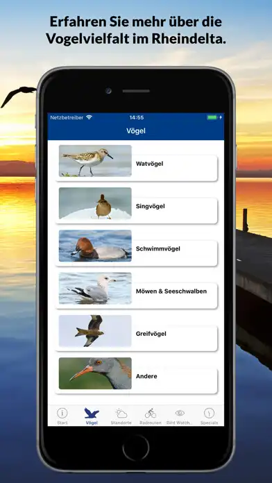 Play Birds Club as an online game Birds Club with UptoPlay