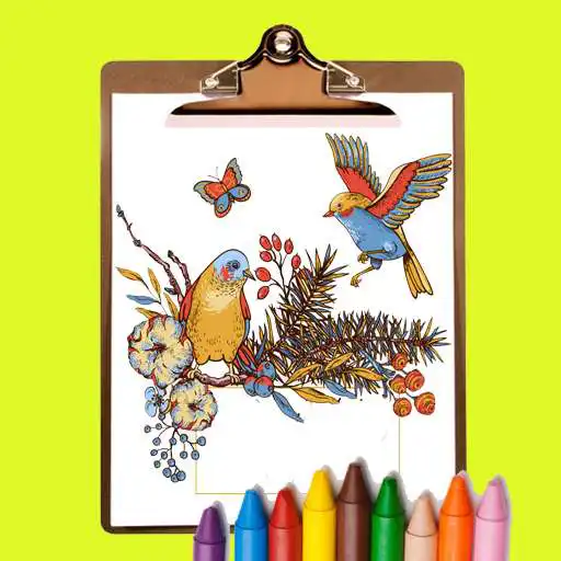 Play Birds Coloring Book for Adults 2020 APK
