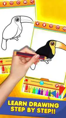 Play Birds Drawing and Coloring Books