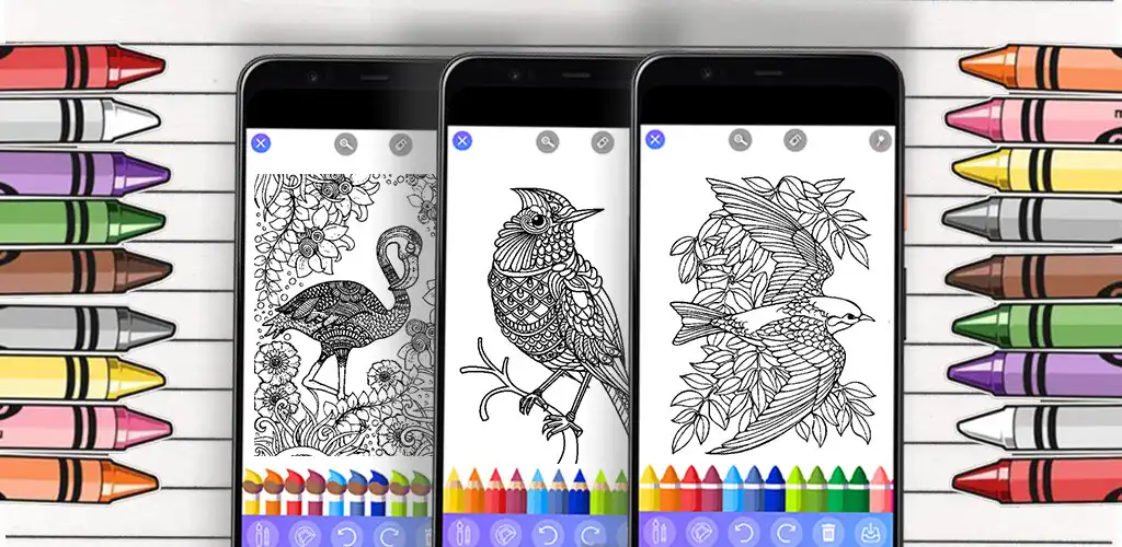 Play Birds Glitter Coloring Pages  and enjoy Birds Glitter Coloring Pages with UptoPlay