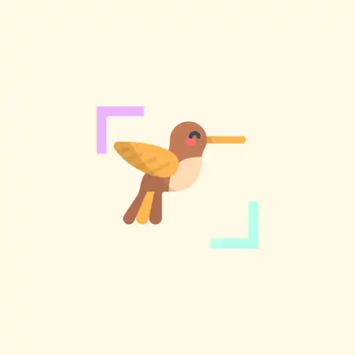 Play BirdsID - Identify Birds APK Play BirdsID - Identify Birds APK