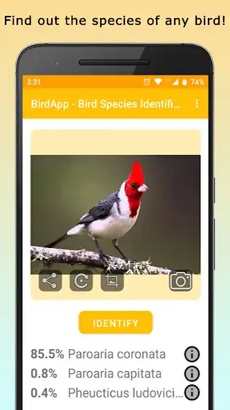 Play BirdsID - Identify Birds  and enjoy BirdsID - Identify Birds with UptoPlay