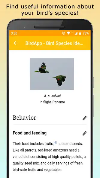 Play BirdsID - Identify Birds as an online game BirdsID - Identify Birds with UptoPlay