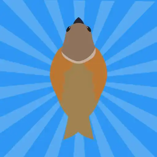 Play Bird simulator - sparrow bird games APK