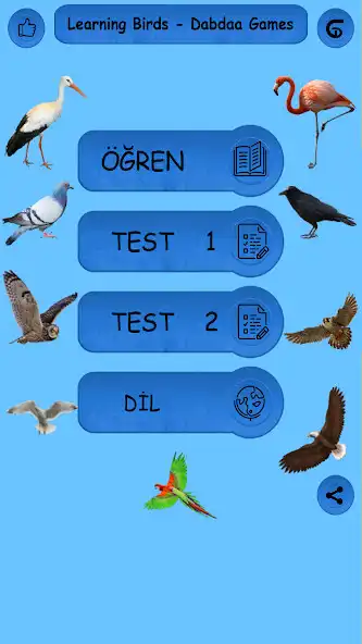 Play Birds - Learning Birds  and enjoy Birds - Learning Birds with UptoPlay