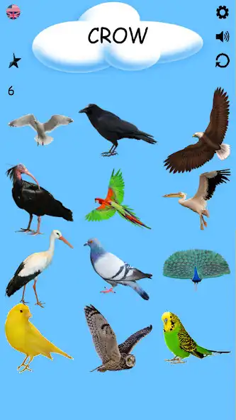 Play Birds - Learning Birds as an online game Birds - Learning Birds with UptoPlay