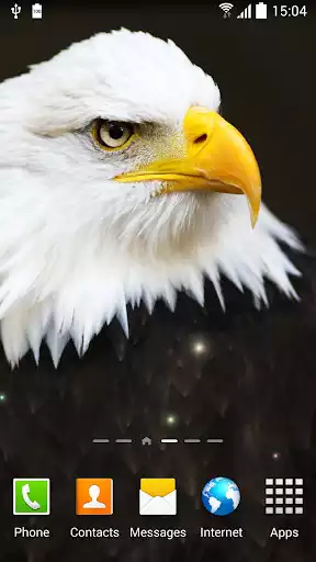 Play Birds live wallpaper
