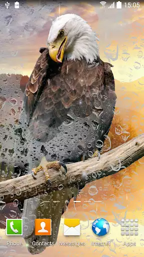 Play Birds live wallpaper