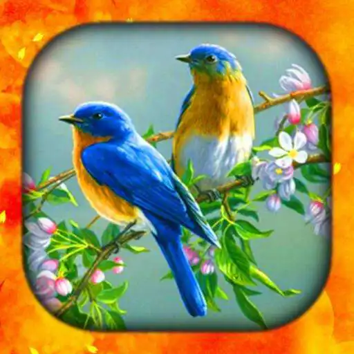Play Birds Live Wallpapers HD/4K APK