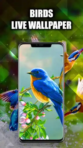 Play Birds Live Wallpapers HD/4K  and enjoy Birds Live Wallpapers HD/4K with UptoPlay