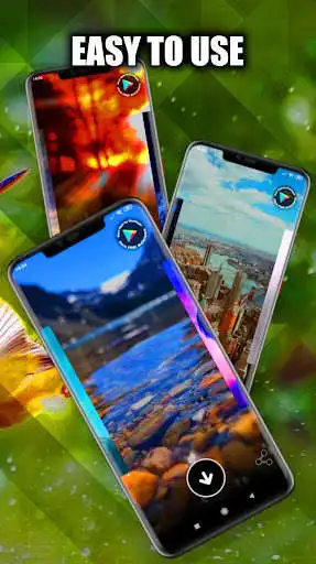 Play Birds Live Wallpapers HD/4K as an online game Birds Live Wallpapers HD/4K with UptoPlay