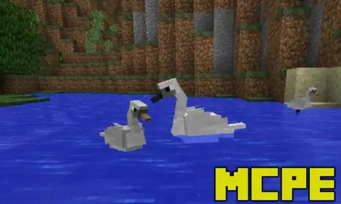 Play Birds Mod for Minecraft PE