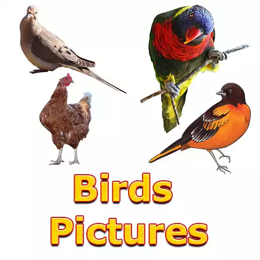 Free play online Birds Names with Pictures for Kids APK