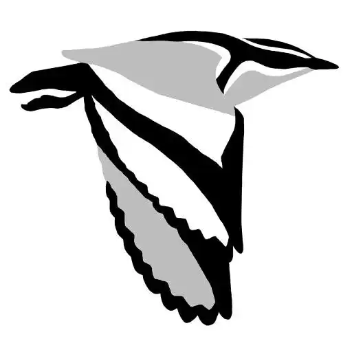 Play Birds of Africa APK Play Birds of Africa APK