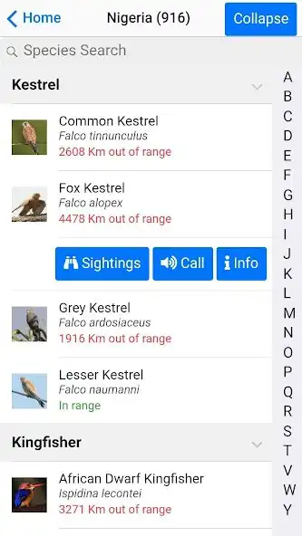 Play Birds of Africa as an online game Birds of Africa with UptoPlay