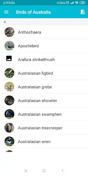 Play Birds of Australia  and enjoy Birds of Australia with UptoPlay