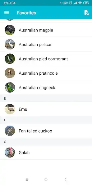 Play Birds of Australia as an online game Birds of Australia with UptoPlay