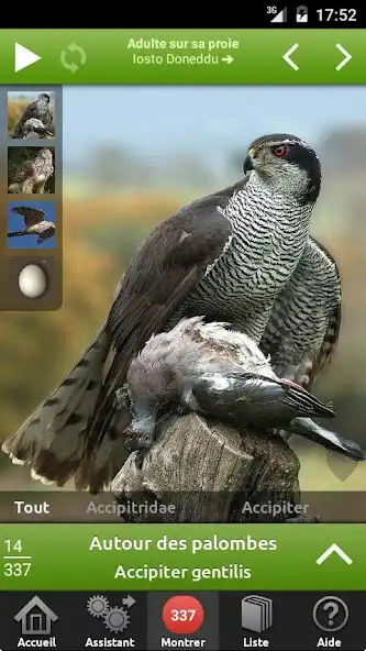 Play Birds of Britain and Europe  and enjoy Birds of Britain and Europe with UptoPlay