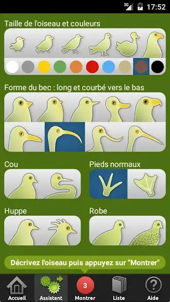 Play Birds of Britain and Europe as an online game Birds of Britain and Europe with UptoPlay