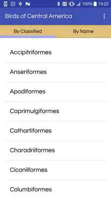 Play Birds Of Central America (old version)