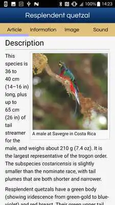 Play Birds Of Central America (old version)