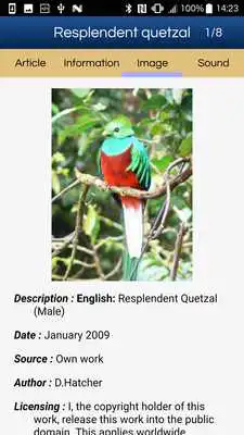 Play Birds Of Central America (old version)