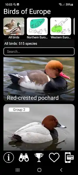 Play Birds of Europe Field Guide  and enjoy Birds of Europe Field Guide with UptoPlay