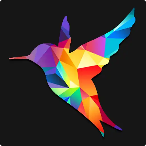 Play Birds of India APK