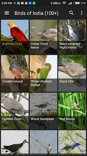 Play Birds of India  and enjoy Birds of India with UptoPlay