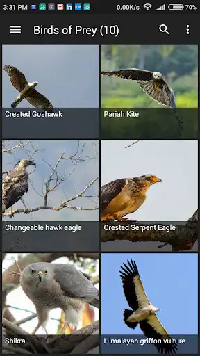 Play Birds of India as an online game Birds of India with UptoPlay