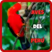 Free play online Birds of Peru APK Free play online Birds of Peru APK