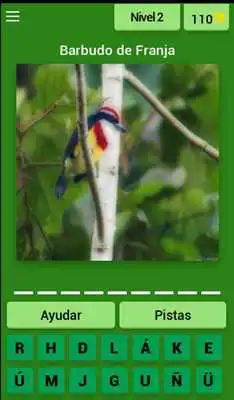Play Birds of Peru