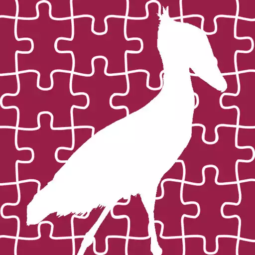 Play Birds Of Southern Africa APK