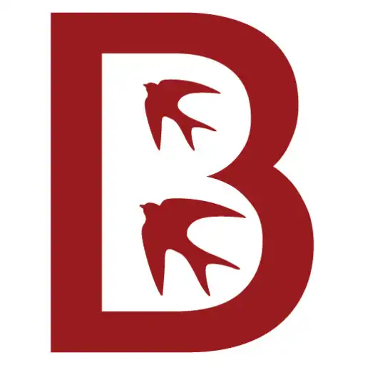 Play Birds of the Retiro park APK Play Birds of the Retiro park APK