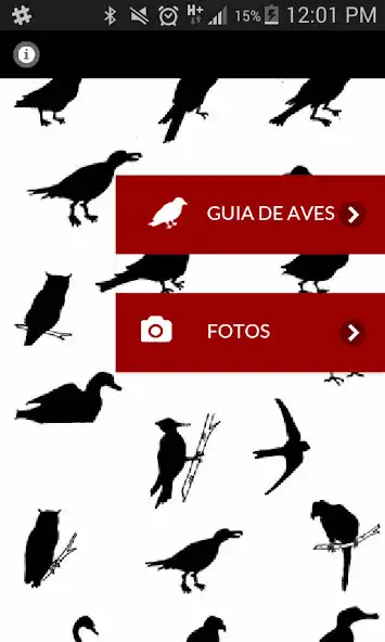 Play Birds of the Retiro park  and enjoy Birds of the Retiro park with UptoPlay