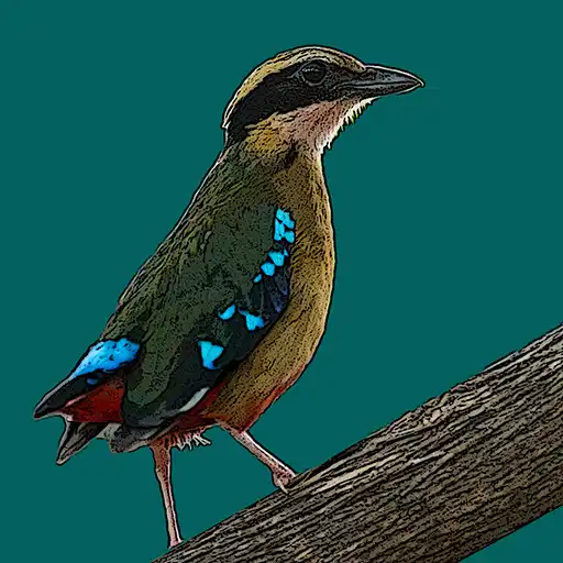 Play Birds of Zambia APK Play Birds of Zambia APK