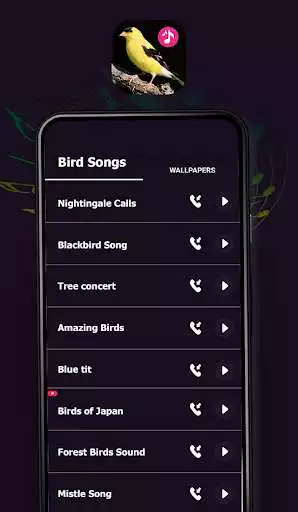Play Bird Song 2021 - Sounds, Calls & Ringtones  and enjoy Bird Song 2021 - Sounds, Calls & Ringtones with UptoPlay