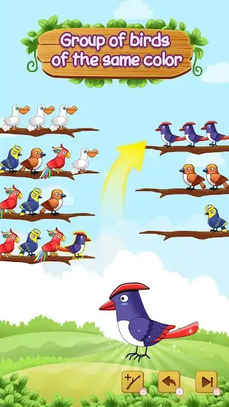 Play Bird Sort: Color Bird Sort as an online game Bird Sort: Color Bird Sort with UptoPlay