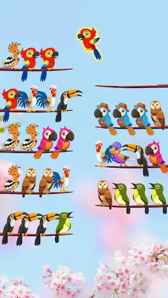 Play Bird Sort Color: Budgie Puzzle  and enjoy Bird Sort Color: Budgie Puzzle with UptoPlay